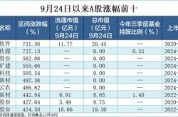 超200只个股涨幅翻倍 新股领涨行情