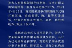 女子2年遭家暴16次 前夫被判11年 家庭暴力引发广泛关注