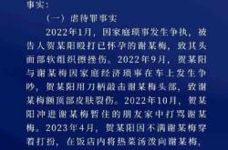 法院说明家暴16次案不能定性故意杀人 虐待与故意伤害并罚